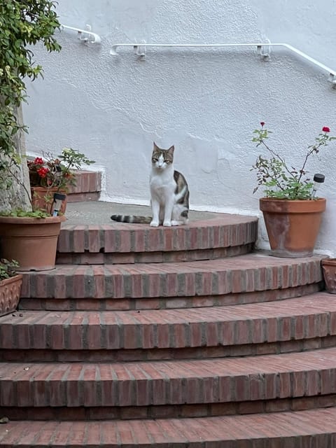 La Musa Pensão in Capri