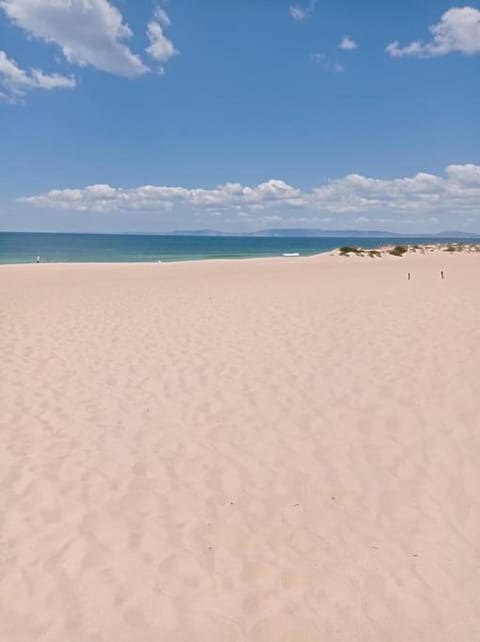 Casa Monda- Comporta House in Comporta