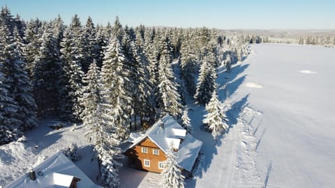 Roubenka na jelení hoře Chalet in Saxony