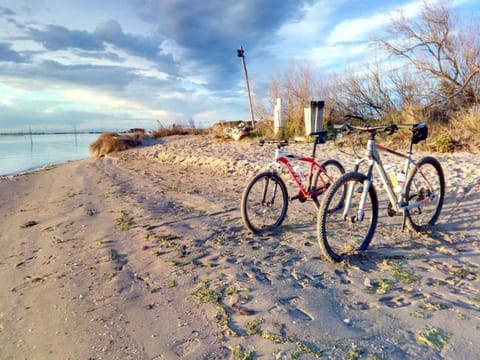 Nearby landmark, Natural landscape, Beach, Hiking, Cycling