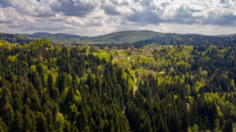 Gorski park Kupjak Apartment in Primorje-Gorski Kotar County