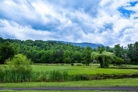 Little Cub Cottage - Mtn Views & Community Pools House in Pittman Center