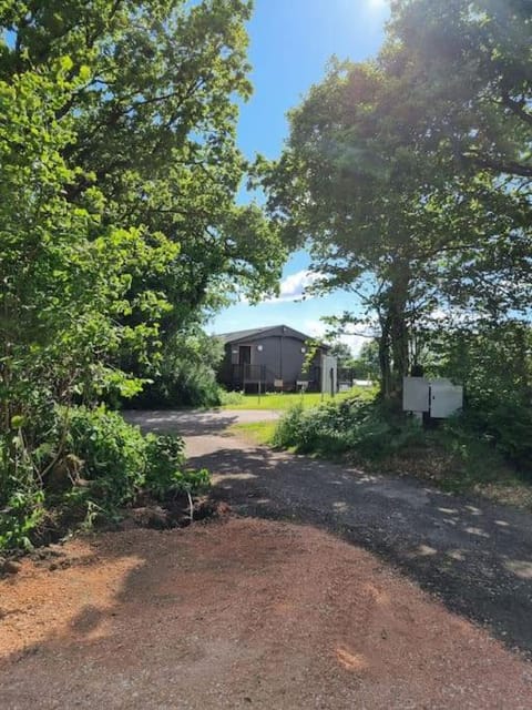 Shower, Toilet, Property building