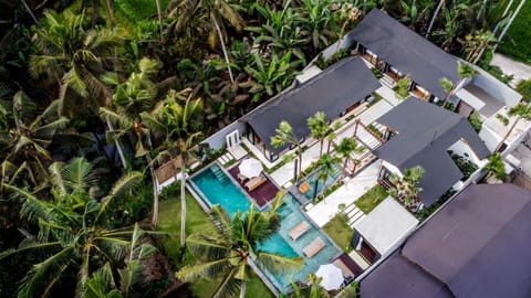 Bird's eye view, Pool view