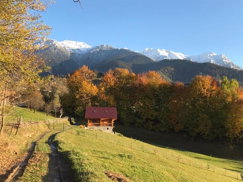 Natural landscape, Mountain view