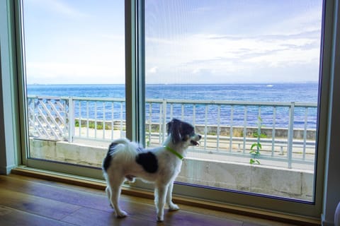 Natural landscape, View (from property/room), Balcony/Terrace, Pets, Sea view