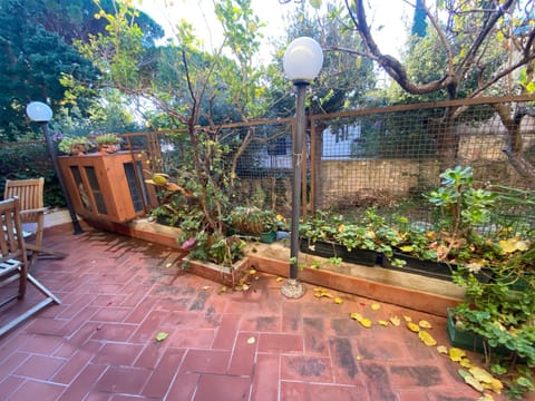 Inner courtyard view