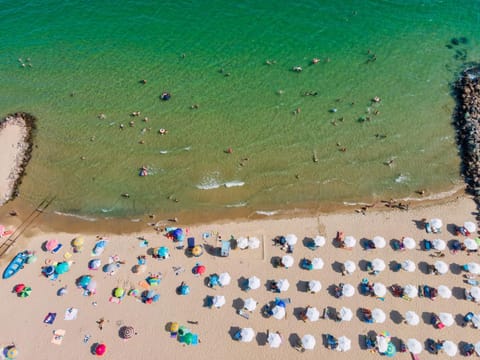 Bird's eye view, Beach