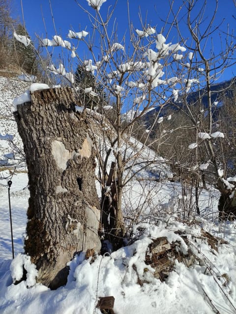 Day, Natural landscape, Winter