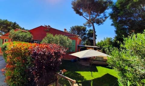 Property building, Garden, Garden view