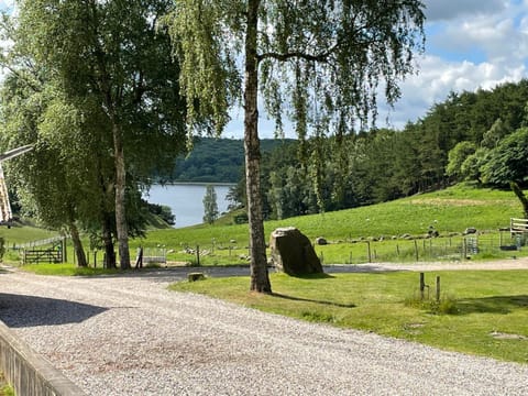 Lake view