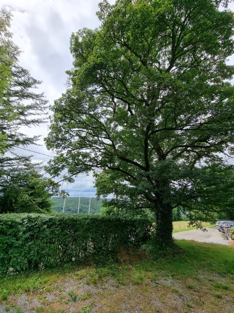 Natural landscape, View (from property/room)