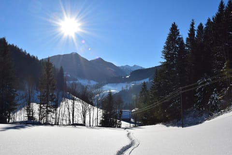 Day, Natural landscape, Winter, View (from property/room), Mountain view