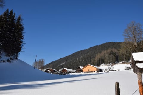 Property building, Day, Natural landscape, Winter, Mountain view