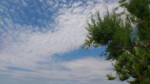 Spring, Day, Bird's eye view