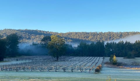 Wollombi Wines House in Wollombi