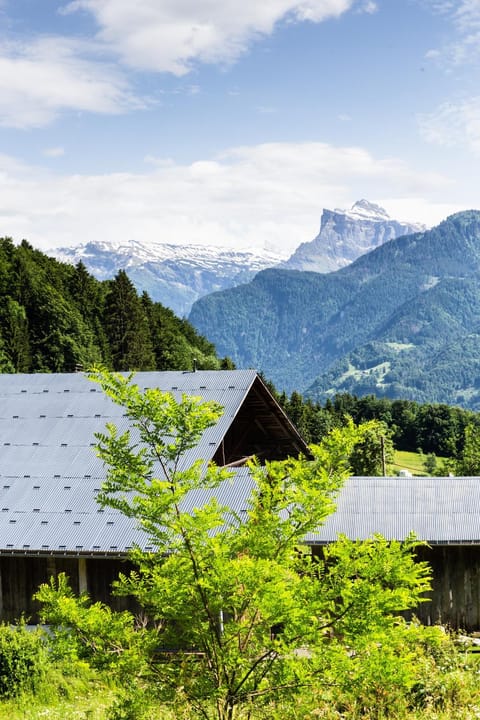 Neighbourhood, Natural landscape, Hiking, Mountain view