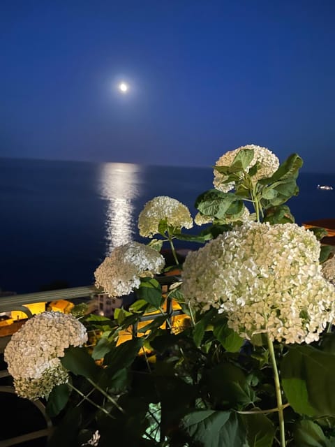 Night, Natural landscape, Sea view