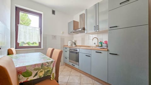 Aurelio Apartment in Novigrad
