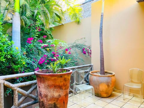 Patio, Balcony/Terrace