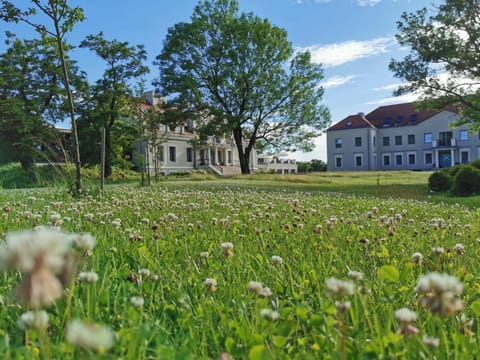 Property building, Garden