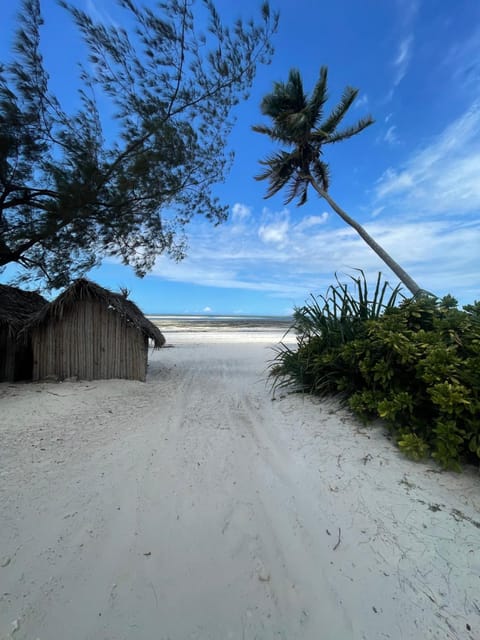 Villa Nakupenda with Pool and Ocean view Villa in Unguja North Region