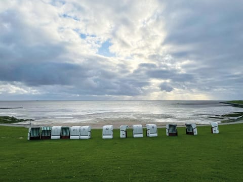 Staff, Natural landscape, Sea view