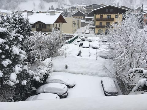 Garden view, Street view