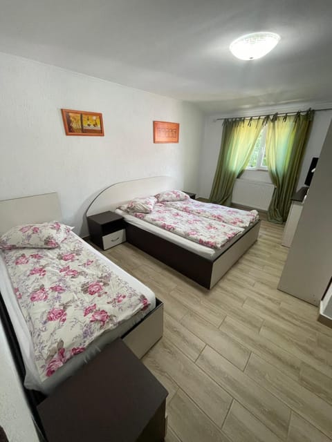 La Buna Văliug Vacation rental in Timiș County