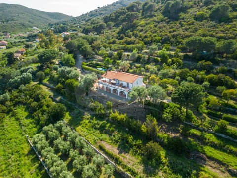 Neighbourhood, Bird's eye view