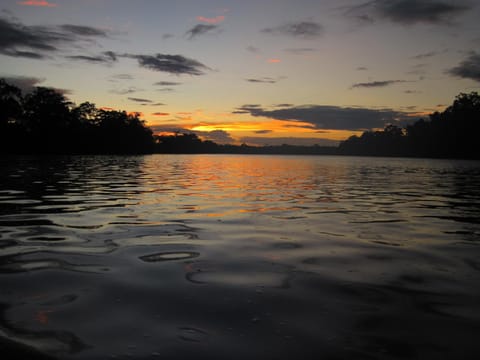 Ecolodge Luna del Rio Nature lodge in Alajuela Province