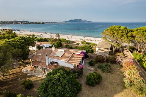 Bird's eye view, Beach, Sea view