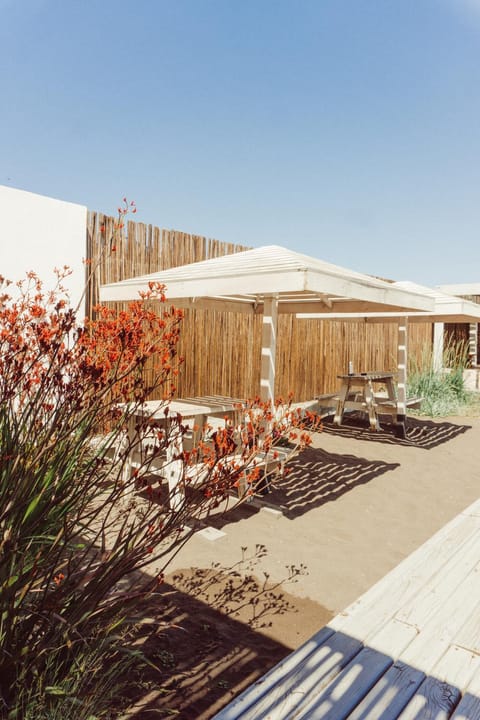 Patio, Garden, Balcony/Terrace