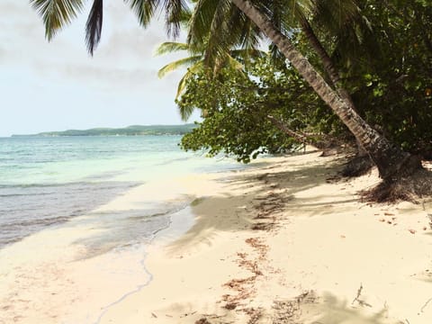 BLUE DREAM BEACH Touloukaera Zen - Résidence plage & piscine Apartamento in Marie-Galante