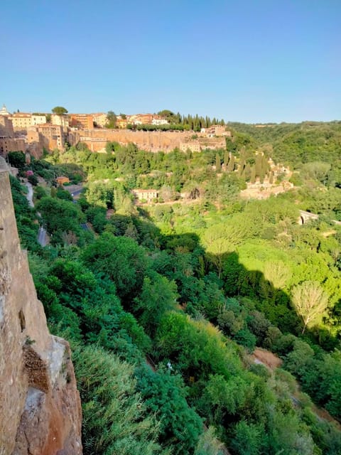 Natural landscape