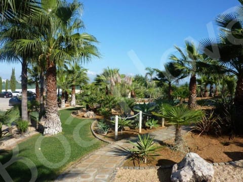 Patio, Garden, Garden view