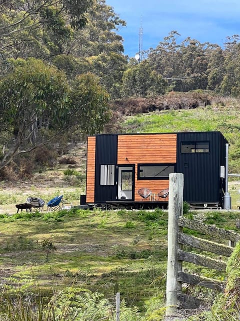 Property building, Natural landscape, Garden