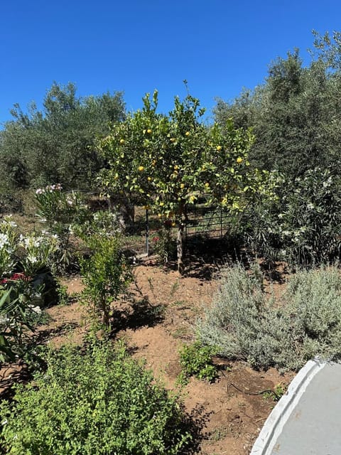 Garden, Garden view