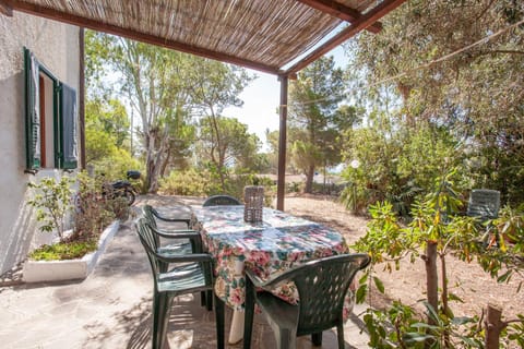 Patio, Garden view