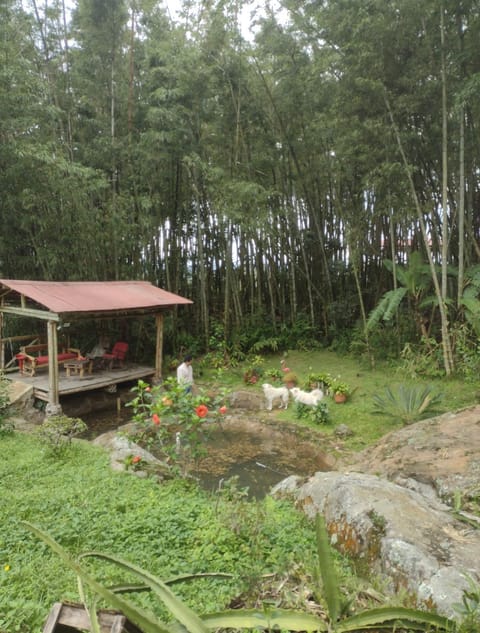 Finca exclusividad familiar o grupo de amigos capacidad hasta 12 personas calles en placa huella, caminata ecológica House in Cundinamarca, Colombia