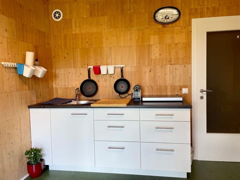Ferien in Holz - Fühle die Gemütlichkeit Enjoy Apartment in Schörfling am Attersee