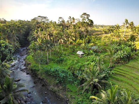 Villa with amazing rice field view between Canggu and Ubud Chalet in Marga