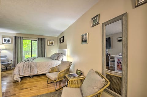 Wintergreen Resort Studio with Deck and Ski-Out Access Condominio in Massies Mill