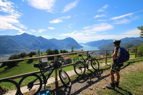 DINO'S HOME Condo in Iseo