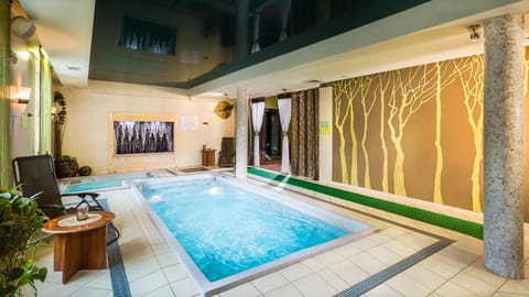 Spa and wellness centre/facilities, Swimming pool