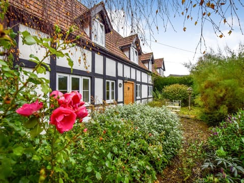 Property building, Facade/entrance, Garden