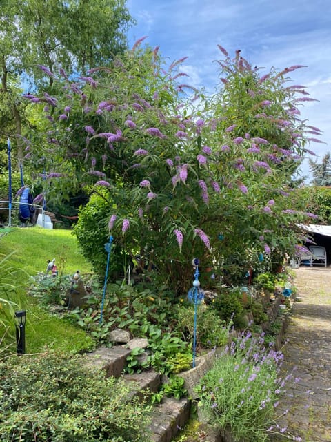 Prostorný byt ve vile se zahradou Vacation rental in Sächsische Schweiz-Osterzgebirge