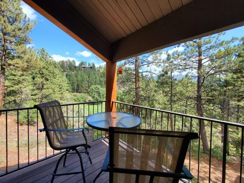 Tamarron PineCone 853 House in La Plata County