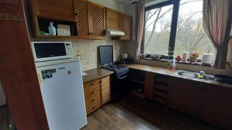 Kitchen or kitchenette, minibar, pet friendly, toaster