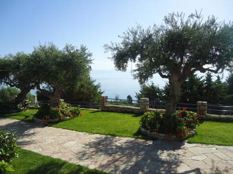 Garden, Sea view